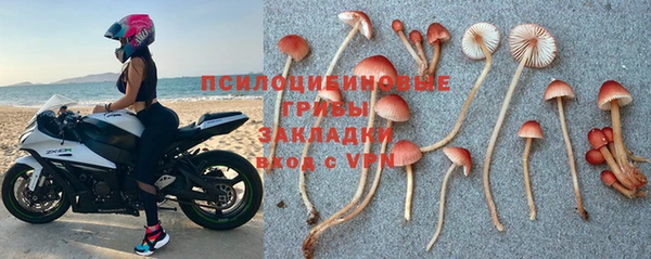стафф Слюдянка