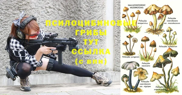 бутират Абаза
