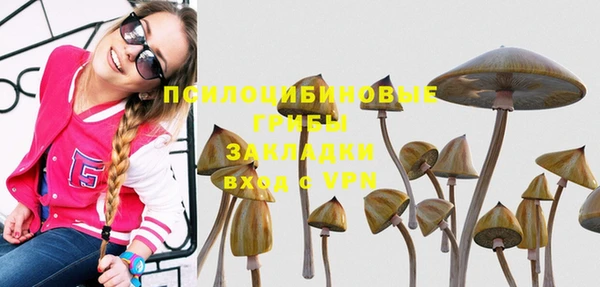 хмурый Абинск