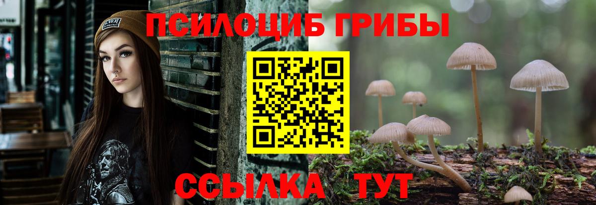 Псилоцибиновые грибы MAGIC MUSHROOMS  Вход с VPN  Дятьково 